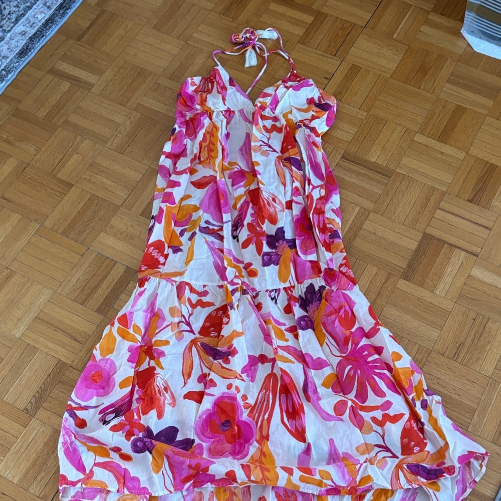 Zara Multicolor Floral Backless Dress S